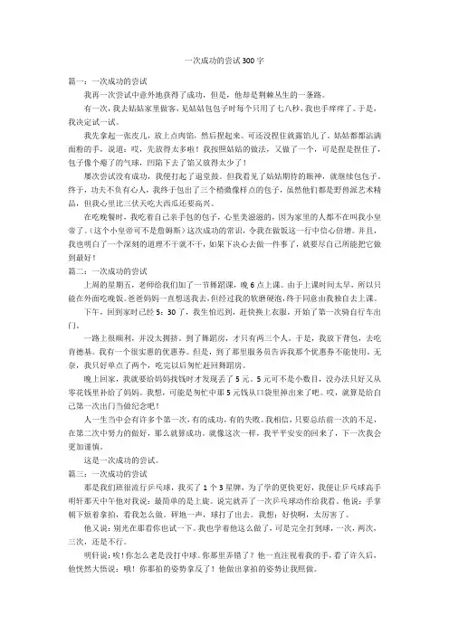 一次成功的尝试300字优秀作文