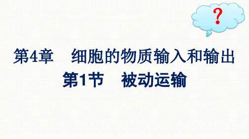 人教版高中生物学必修1精品课件 第4章 细胞的物质输入和输出 第1节 被动运输 (4)