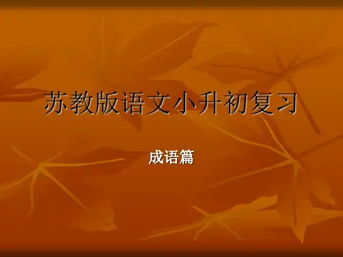 小学六年级语文小升初成语篇复习课件