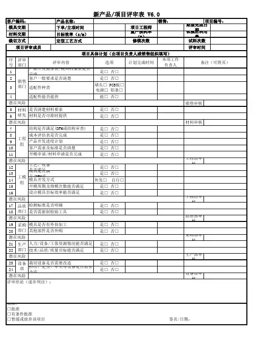 新产品项目评审表