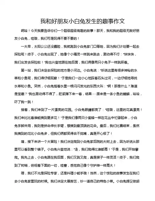 我和好朋友小白兔发生的趣事作文