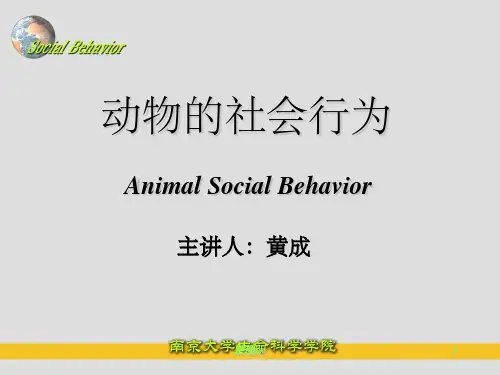 《动物的社会行为》PPT课件