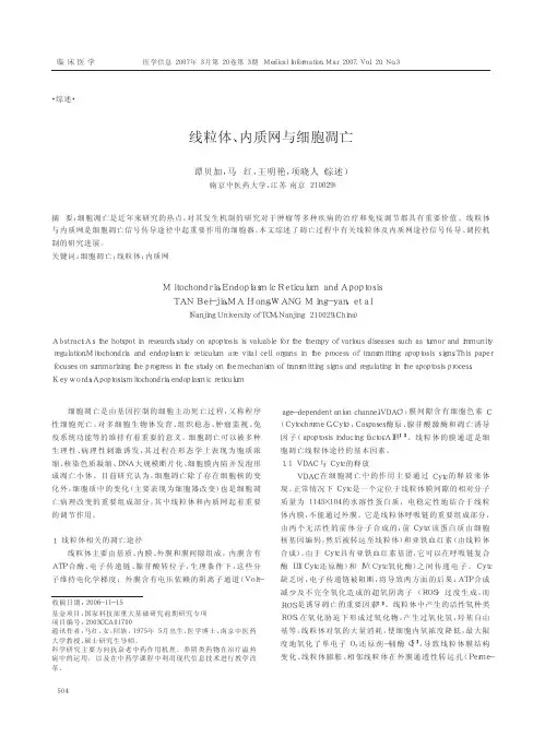 线粒体_内质网与细胞凋亡
