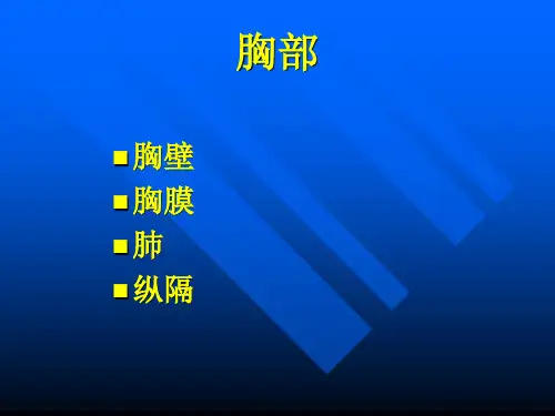 【局部解刨学课件】.胸部