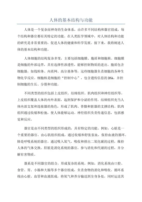 人体的基本结构与功能