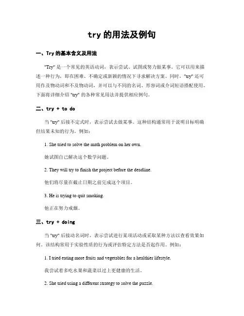 try的用法及例句 (2)