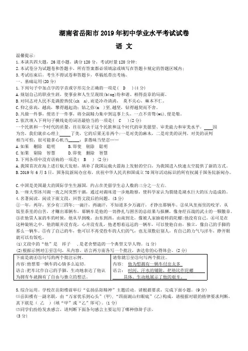 湖南省岳阳市2019年中考语文试题含答案