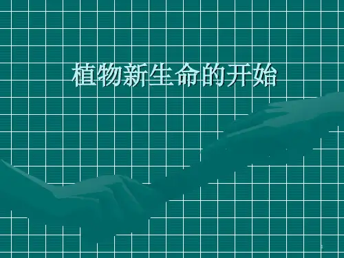 植物新生命的开始ppt课件 (2)