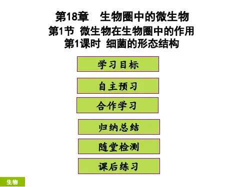 部编人教版八年级生物下册第18章生物圈中的微生物《细菌的形态结构》精品ppt课件