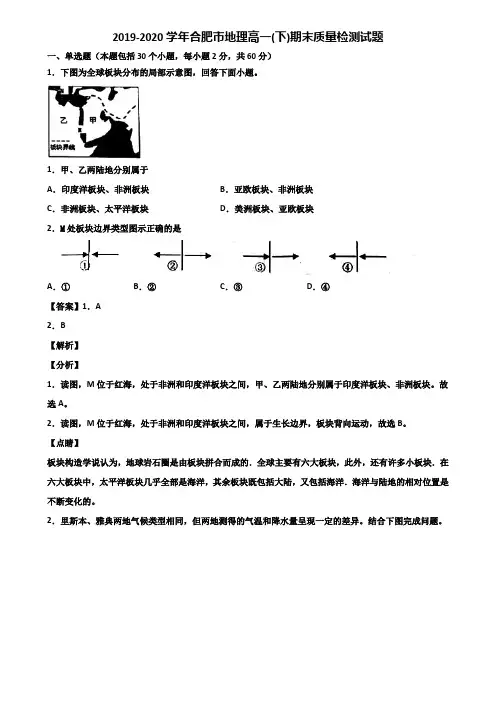 2019-2020学年合肥市地理高一(下)期末质量检测试题含解析
