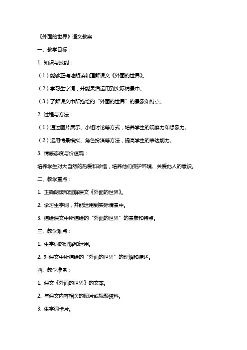 《外面的世界 》语文教案