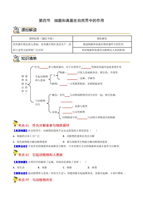 第四节  细菌和真菌在自然界中的作用(学生版)-2022-2023学八年级上册精品讲义