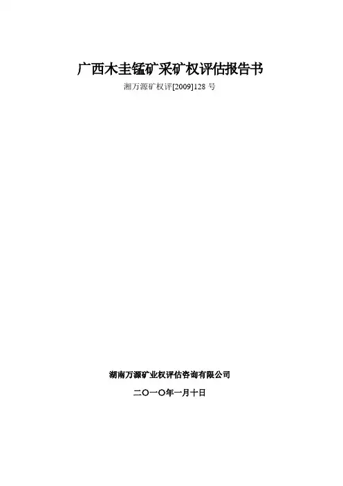 广西木圭锰矿采矿权评估报告书