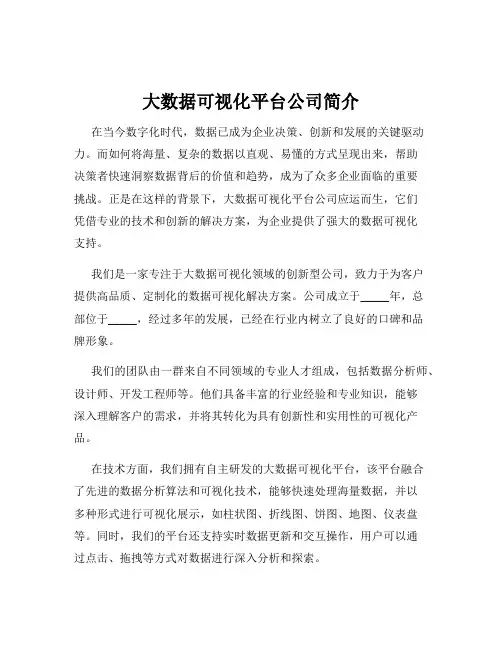 大数据可视化平台公司简介