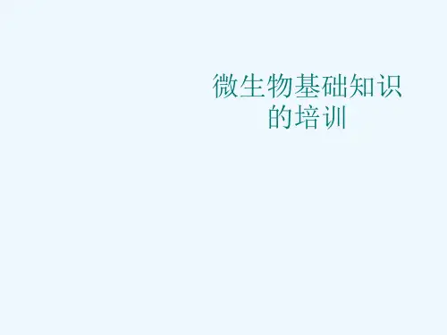 微生物基础知识的培训[可修改版ppt]