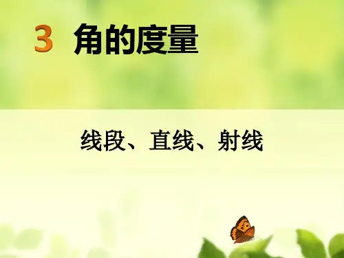 四年级数学上册课件-3.1 线段  直线  射线1-人教版