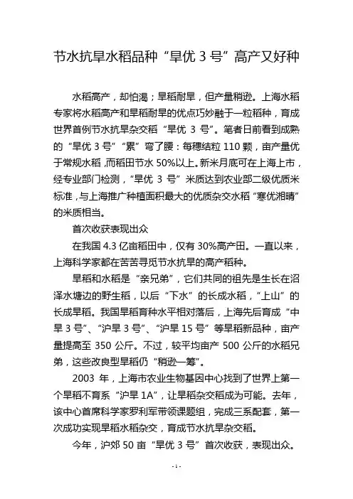 节水抗旱水稻品种“旱优3号”高产又好种