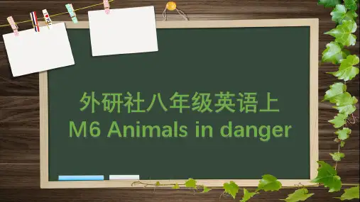 Module6Animalsindanger(单词短语句型语法)课件八年级英语上册