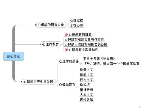 心理学思维导图演示精品PPT课件