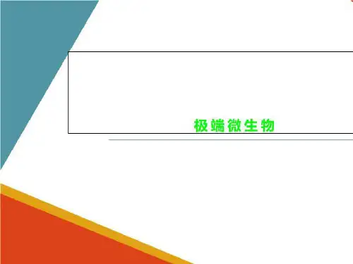 极端微生物