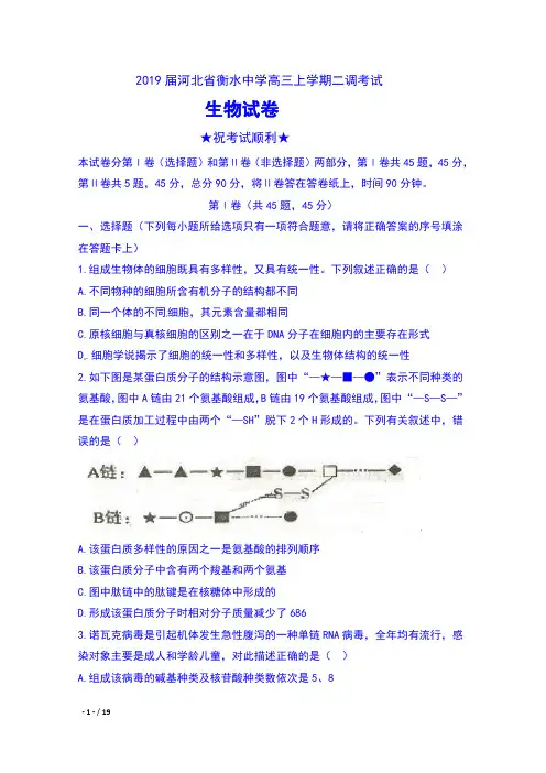 2019届河北省衡水中学高三上学期二调考试生物试卷及答案