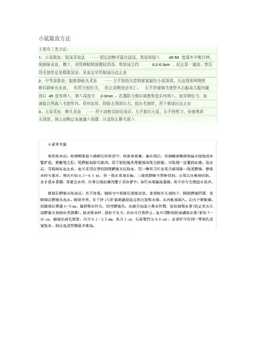 小鼠取血方法