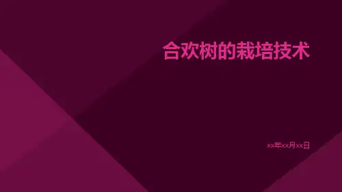 合欢树的栽培技术