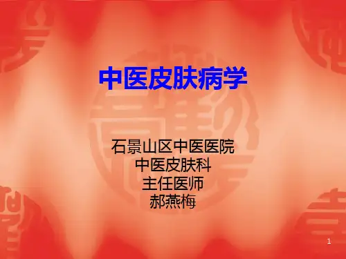 中医皮肤病学PPT课件