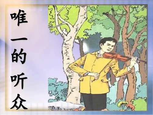 11唯一的听众--优秀-人教版PPT课件