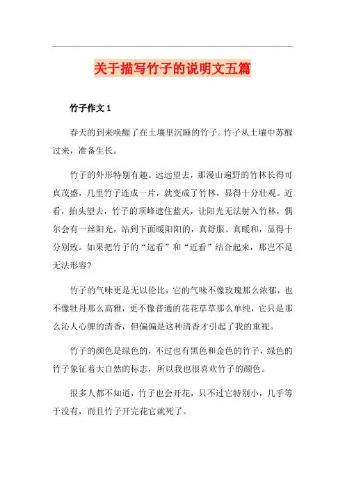 关于描写竹子的说明文五篇