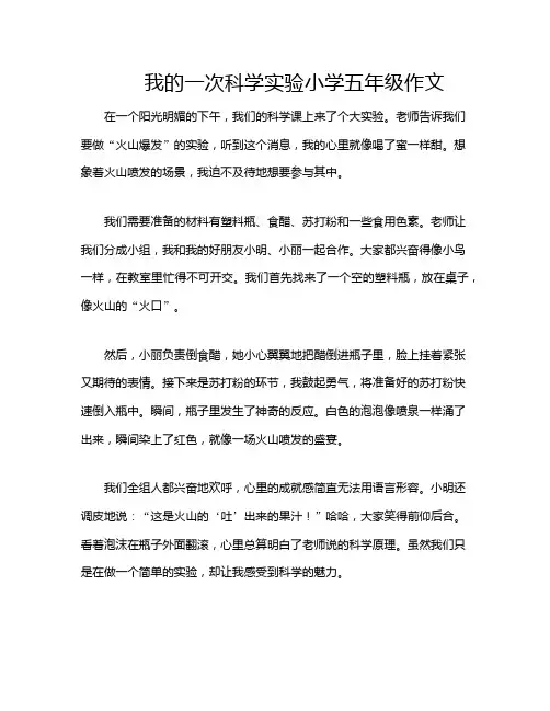 我的一次科学实验小学五年级作文