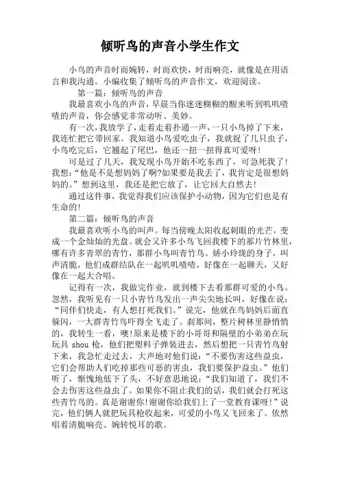 倾听鸟的声音小学生作文