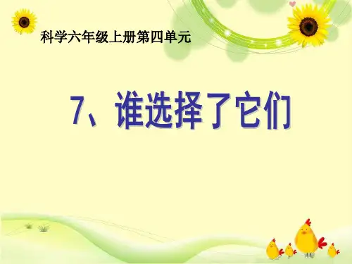 六年级上册科学课件-4.7谁选择了它们 教科版 (共27张PPT)