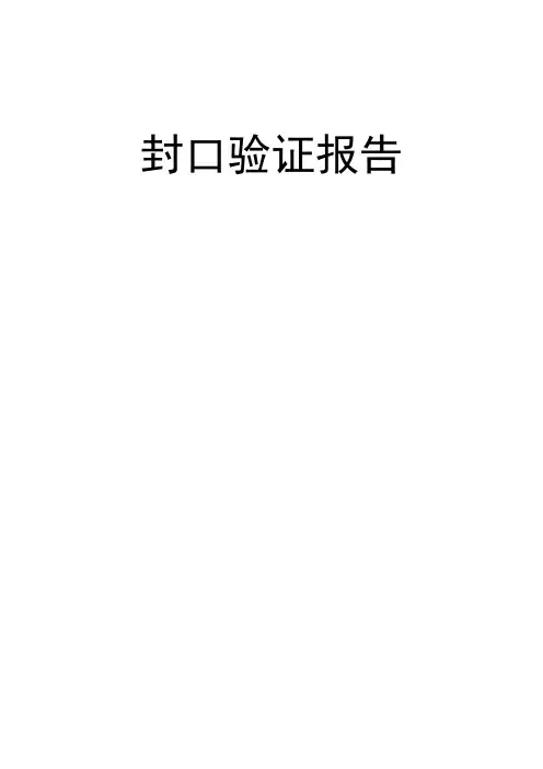 封口验证报告(模板)