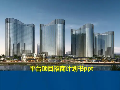 平台项目招商计划书ppt