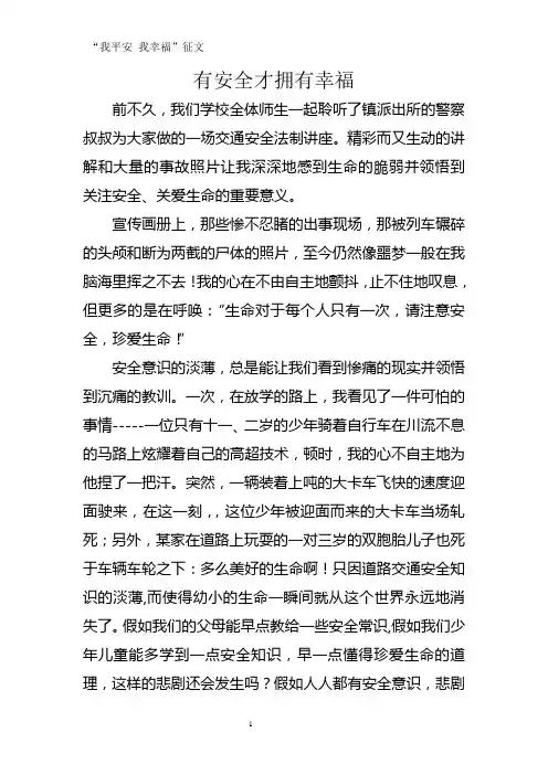 安全论文：我平安 我幸福