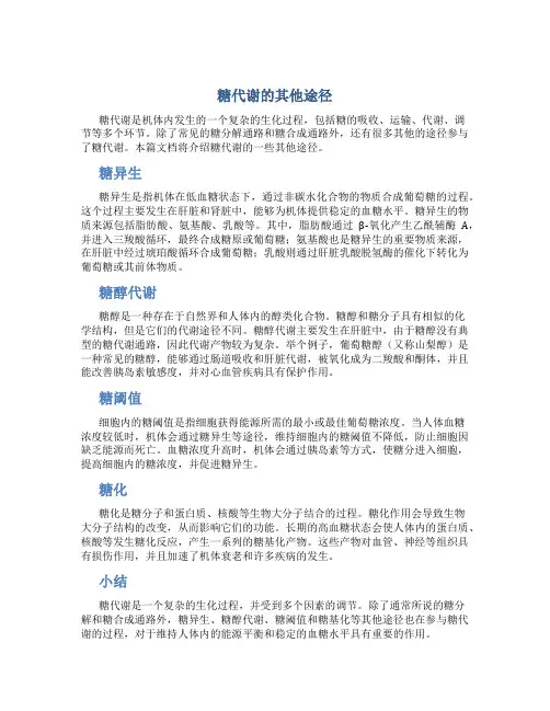 糖代谢的其他途径