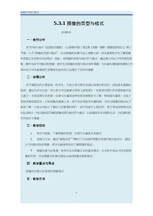 高中信息技术《图像的类型格式》优质课教学设计、教案
