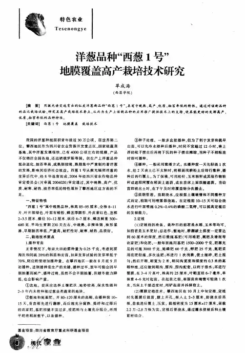 洋葱品种“西葱1号”地膜覆盖高产栽培技术研究