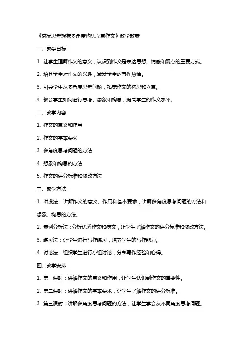 《感受思考想象多角度构思立意作文》教学教案