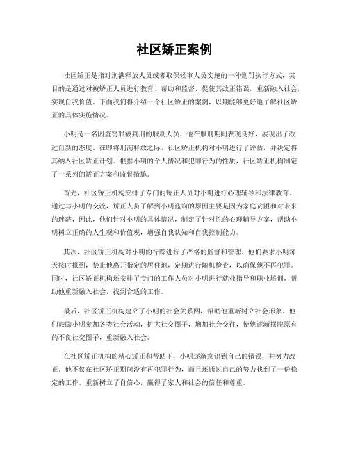 社区矫正案例