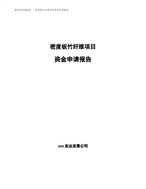密度板竹纤维项目资金申请报告 (1)