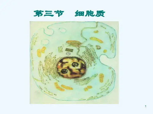 高中生物：2.3《细胞质》课件浙科版必修1