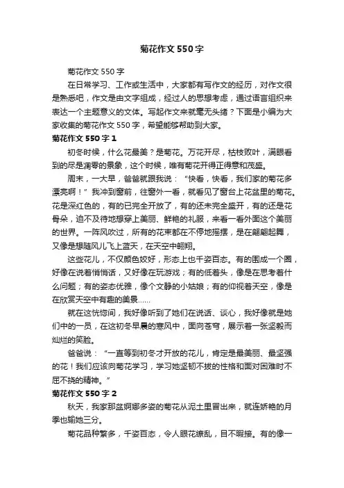 菊花作文550字