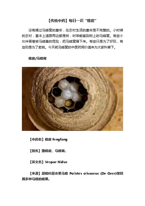 【传统中药】每日一识“蜂房”