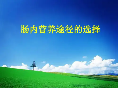 TC-肠内营养途径的选择