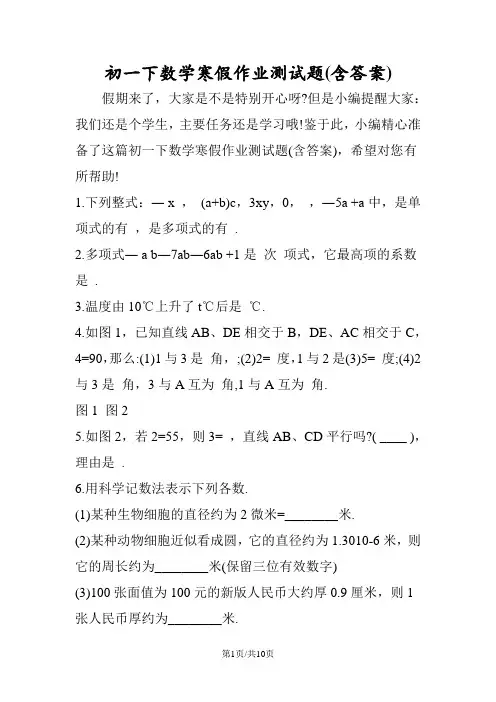 初一下数学寒假作业测试题(含答案)