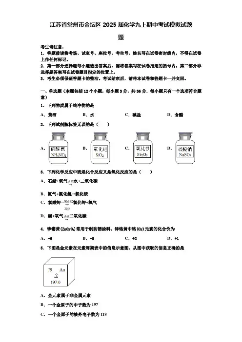 江苏省常州市金坛区2025届化学九上期中考试模拟试题含解析