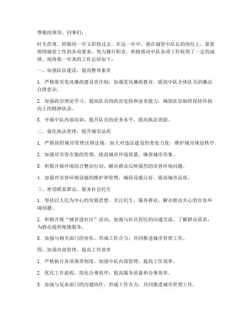 城管中队长个人工作总结