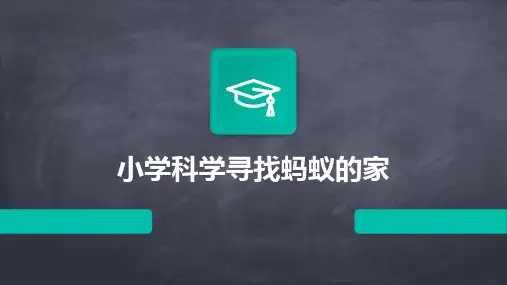 小学科学寻找蚂蚁的家课件ppt
